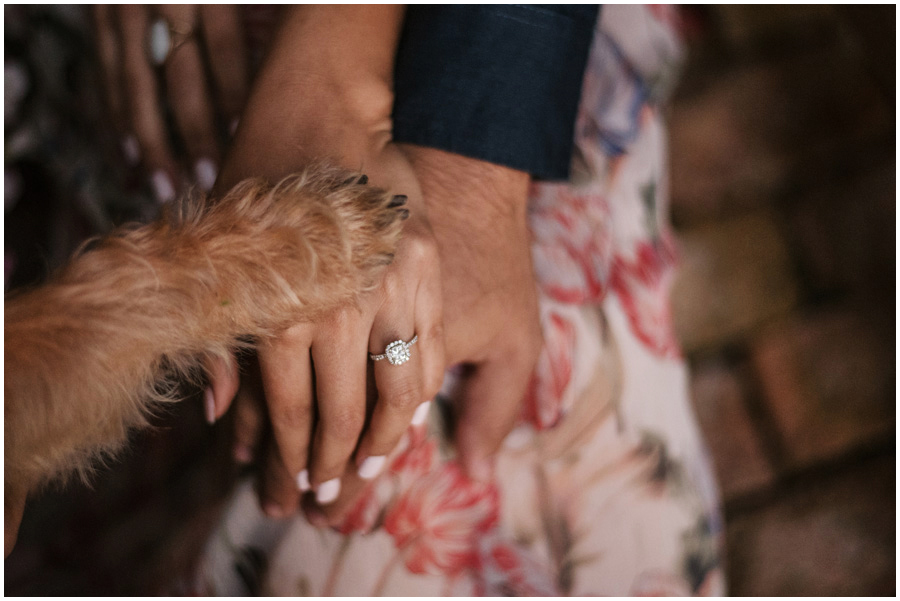 dog engagement shoot