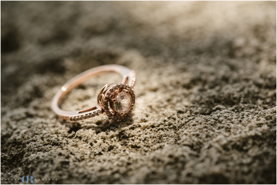 Vizcaya Engagement Photography